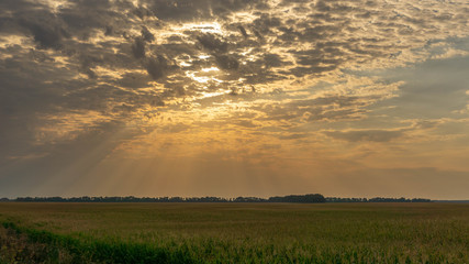 incredibly beautiful landscape with the rays of the summer sun