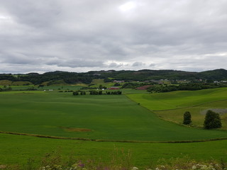 Fototapeta na wymiar summer pasture farmland in southern Norway