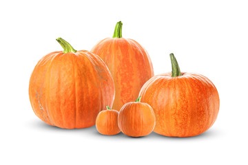 Many fresh ripe pumpkins isolated on white