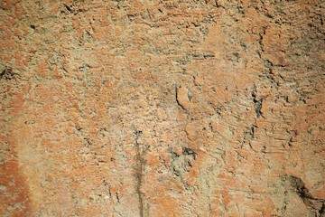Painted wall surface