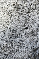 Close-up of rock