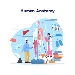 Anatomy school subject. Internal human organ studying. Anatomy