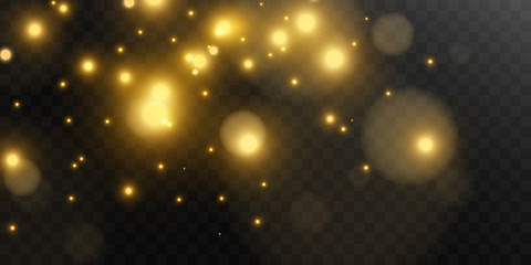 Bright beautiful star.Vector illustration of a light effect on a transparent background.