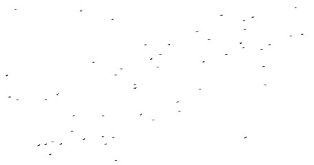 Flock of birds isolated on white background