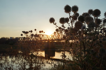 Old steel railway bridge Against a background of thistle bush. Empty train-bridge in sunset