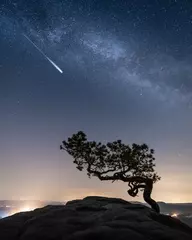 Perseiden Sternschnuppe über Wetterkiefer auf dem Lilienstein Elbsandsteingebirge Sächsische Schweiz © Ronny Behnert