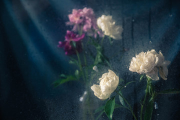 pink flowers in the rain. flowers behind glass. flowers in the window, wet after the rain. bouquet of watercolor flowers. delicate bouquet of peonies. peonies behind glass with water drops. still life