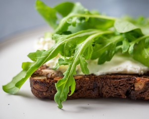Light snack, sandwich with curd cheese and fresh arugula on a small plate on a gray background