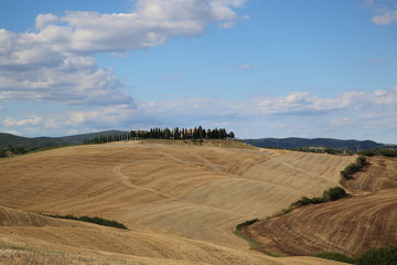 Fototapeta na wymiar Beautiful Tuscany Landscape, Val D'Orcia