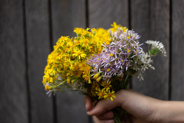 bouquet of multicolored wildflowers in hands on a dark background