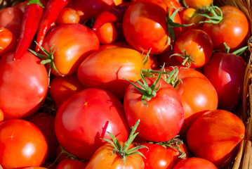 Background of Ripe red Tomatoes close-up. eco food home gardening concept.