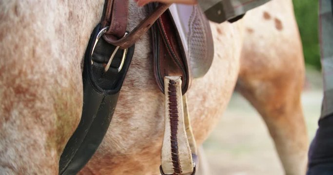 Man preparing horse for a ride. Close shot of man hands tying up horse'saddle before a ride.4k slow motion 