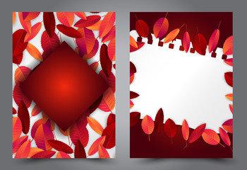 Autumn leaves flyer background set. Fall banner template. Red and orange foliage. Thanksgiving season holiday concept. Realistic 3d vector illustration.