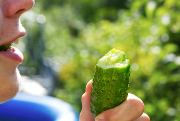 vegan bite off fresh ecological cucumber in nature. bitten cucumber in young man hand assign green...