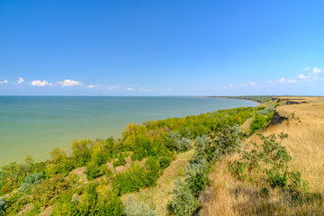 View of the sea from a high clay bank on a sunny summer day against the backdrop of a cloudless blue sky. Steppe with dried yellow grass and green trees on the coast. Colorful landscape. Copy space.