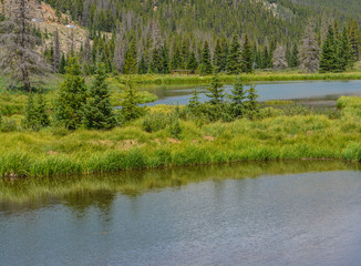 Obraz premium Beautiful mountains, forest and landscape near Monarch Pass in the Rocky Mountains of Colorado 