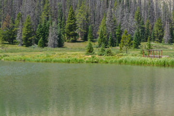 Beautiful mountains, forest and landscape near Monarch Pass in the Rocky Mountains of Colorado 