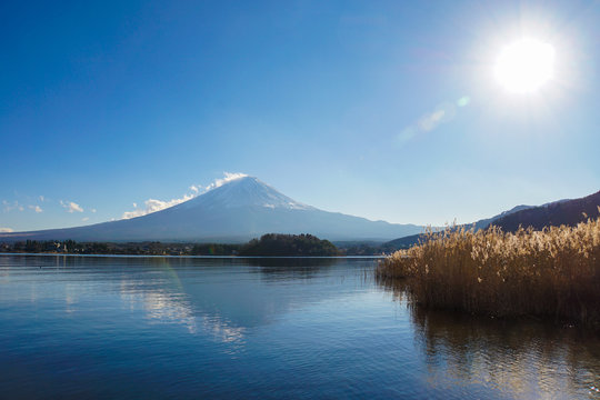 富士五湖　富士山