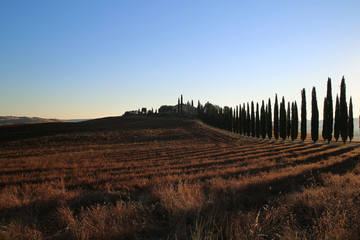 Beautiful Tuscany Landscape, Val D'Orcia