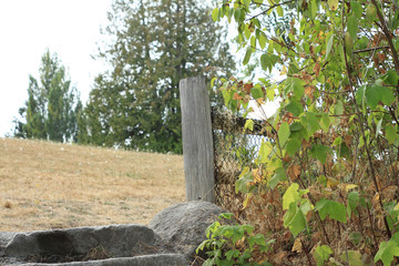 wood fence in the garden