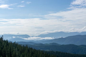 Plakat Landscape of the Carpathian ecosystem. Gorgany Region, Ukraine. Gorgany Nature Reserve is a unique Carpathian mountain region.