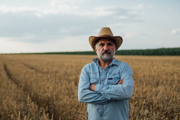 middle aged farmer standing in wheat field