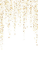 Festive magnificent confetti. Celebration stars. G