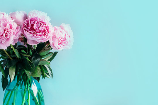 Wedding, birthday, anniversary bouquet. Pink peony flower on blue background. Copy space. Trendy pastel floral composition. Woman day, Mother's day. Macro of peonies flowers