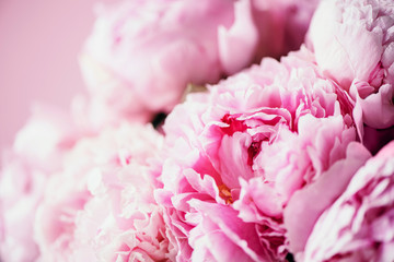 Wedding, birthday, anniversary bouquet. Pink peony flower on pastel background. Copy space. Trendy pastel floral composition. Woman day, Mother's day. Macro of peonies flowers