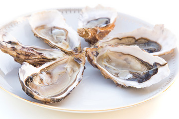 huîtres