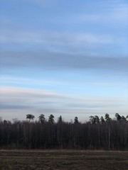 Obraz premium sunrise over the field