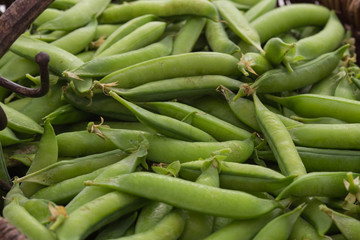 Gousses de petits pois