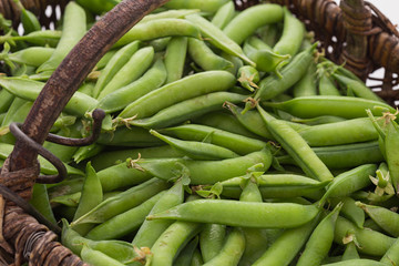Gousses de petits pois