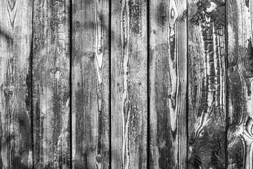 texture of burnt old wood. black and white background for your text. monochrome charred wall