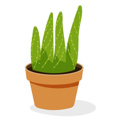
Evergreen aloe plant flat icon 
