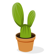 
Astrophytum evergreen plant flat vector 
