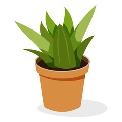 
Houseplant gasteria in flat icon, ornamental plant  

