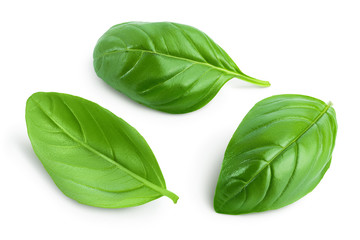 Fresh basil leaf isolated on white background with clipping path and full depth of field