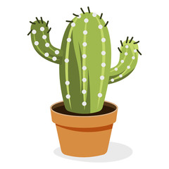 
Astrophytum evergreen plant flat vector 
