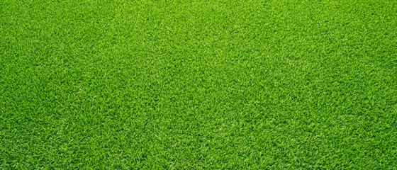 Plakat Artificial grass field meadow green. Top View Texture. 
