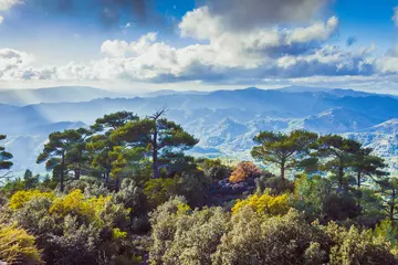 Gordijnen Pano Platres landscape in Troodos mountains, Cyprus © Kristof