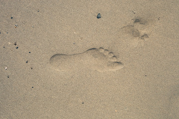 Fototapeta na wymiar Single imprint of left human foot in sand on beach, top view