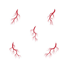 Human veins and arteries illustration design