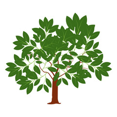 Obraz premium Honey locust tree icon design, wild tree in modern flat style 