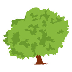 
Flat design of silver oak tree icon
