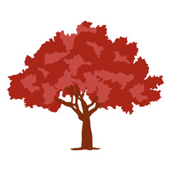 

Design of red oak in editable flat style 
