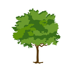 

Flat icon design of salix caprea, forest tree
