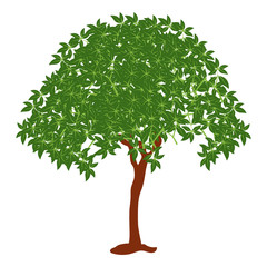 
Salix caprea tree icon design, flat vector of natural tree 
