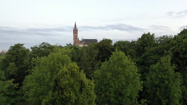 Kelvingrove Park Tree Flyover