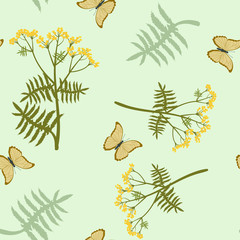 Seamless vector illustration with tansy flowers and butterflies